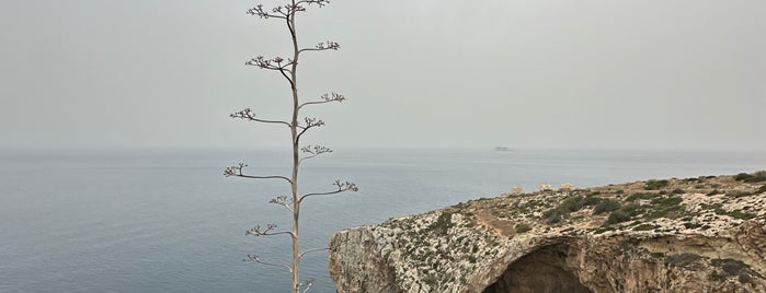 Blue Grotto is one of Malta & Comino.