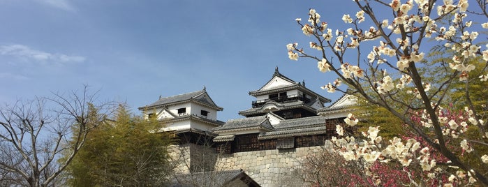 Matsuyama Castle is one of Lugares favoritos de Takuma.