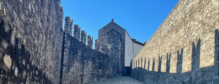 Castelgrande is one of Day 18 - Bellinzona Castle (21).