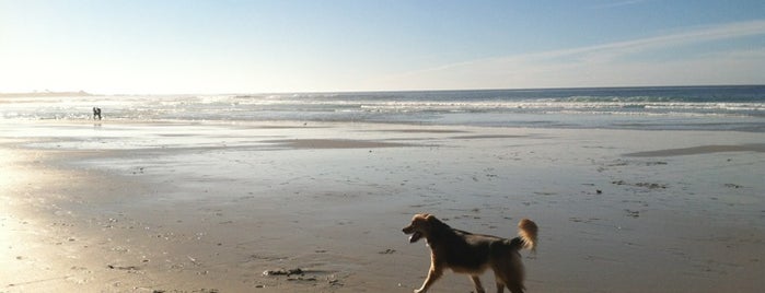 Asilomar State Beach is one of Dog-Friendly Monterey Peninsula.