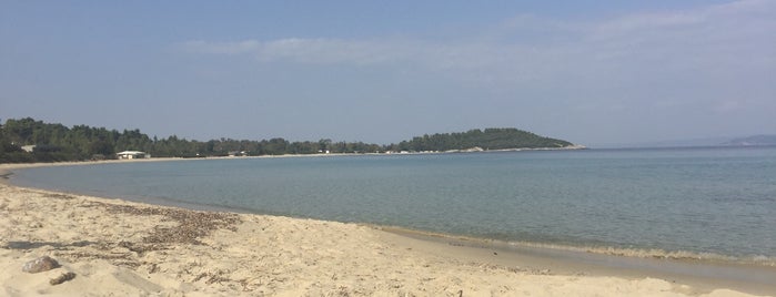 Xenia beach is one of Halkidiki must see.
