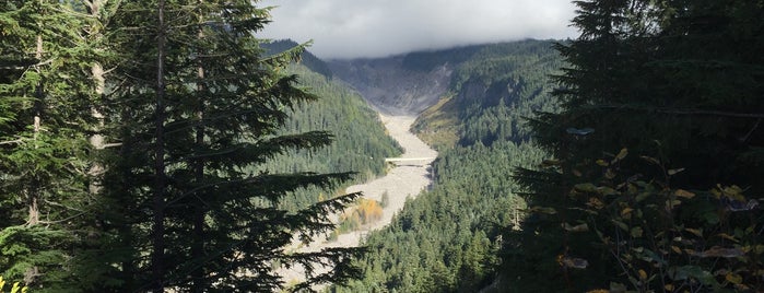 Mount Rainier National Park is one of Someday... (The West).