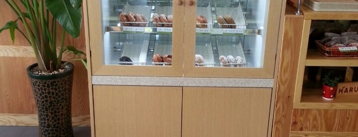하루 커피&도넛 is one of 대구.