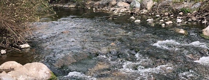 Los Alamitos Creek Trail is one of Nature Todo.