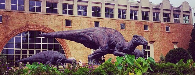 Fernbank Museum of Natural History is one of C&Y ATL Things to Do.