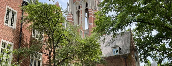 Boatwright Memorial Library is one of Equestrian.