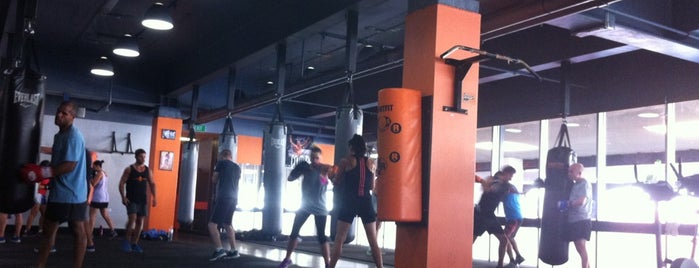 FightFit Boxing Centre is one of Lugares favoritos de Anna.