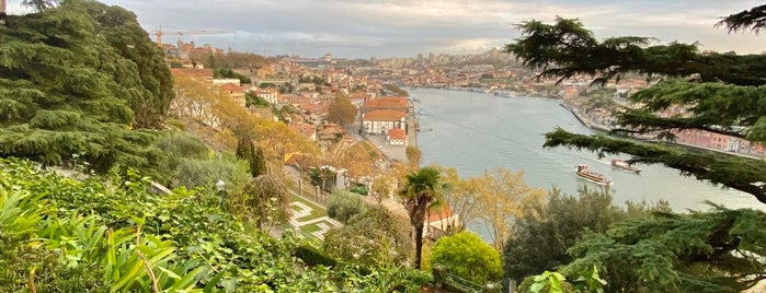 Crystal Palace Gardens is one of Porto.
