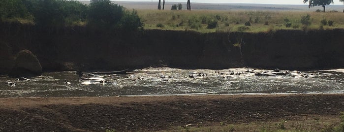 Hippo Pool is one of Lugares favoritos de Francis.