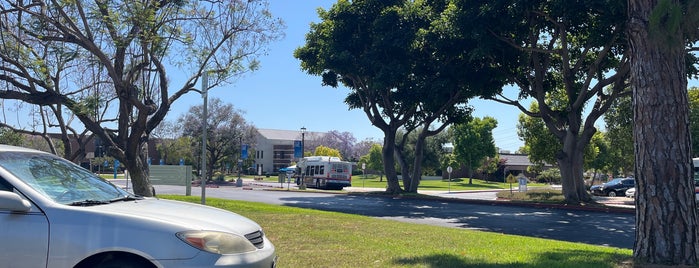 Irvine Valley College is one of LA Newport Beach / Laguna Beach.
