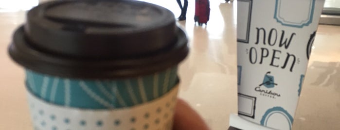 Caribou Coffee - McNamara Terminal is one of DTW Domination.