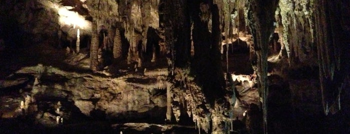 Mammoth Cave is one of Margaret River Trip.