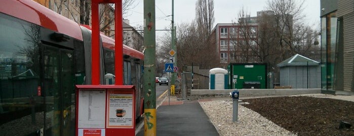 Jelačičova is one of Bratislava MHD Trolejbus 64.