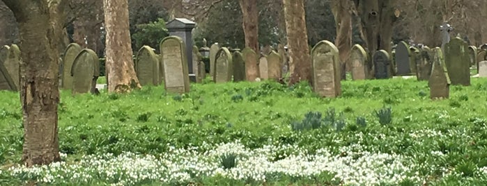 Tynemouth Cemetery is one of Places to return to.