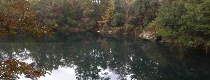 cherokee sink is one of Nord-Florida Panhandle / USA.