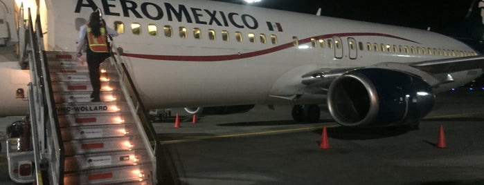 Aeropuerto Internacional de Guadalajara "Miguel Hidalgo y Costilla" (GDL) is one of Albertoさんのお気に入りスポット.