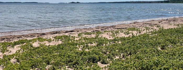 Lappvik stranden (Högsand) is one of finlandia.