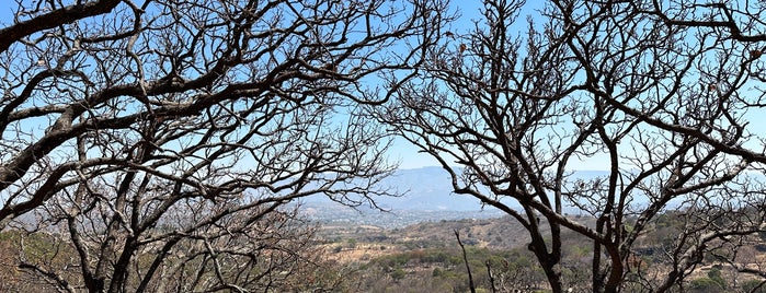 Mirador Tequila is one of Tequila, Jalisco.