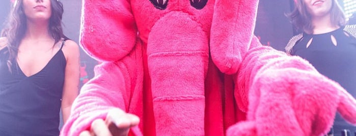 Pink Elephant is one of Rio de janeiro -Barra.