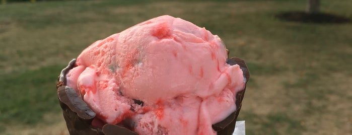 Shaws Ridge Ice Cream is one of Tempat yang Disukai Cate.