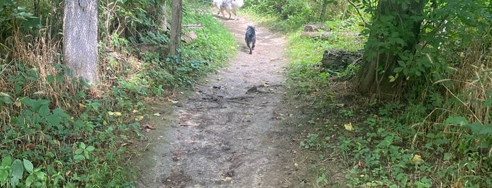 Southwestway Park is one of Indianapolis City Parks.