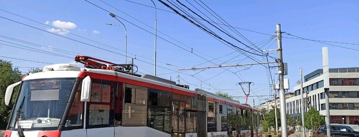 Станция «Мамаев курган» is one of Москва и загородные поездки.