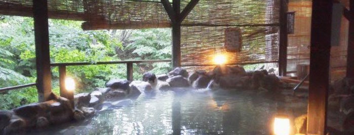 磐梯名湯リゾート ボナリの森 is one of 温泉.