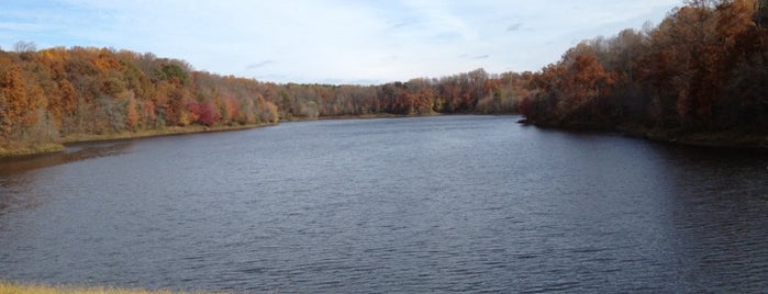 Lake Frank is one of The Great Outdoors.