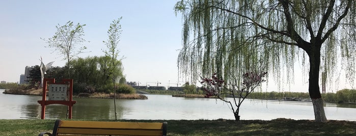 HuiFengHu Park is one of Chris : понравившиеся места.