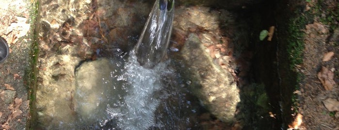 Křižná (Husitská) studánka is one of Orte, die Jan gefallen.