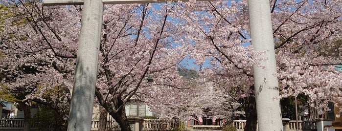 筒井八幡神社 is one of 兵庫県2.