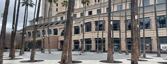 Circle of Palms is one of San José, CA.