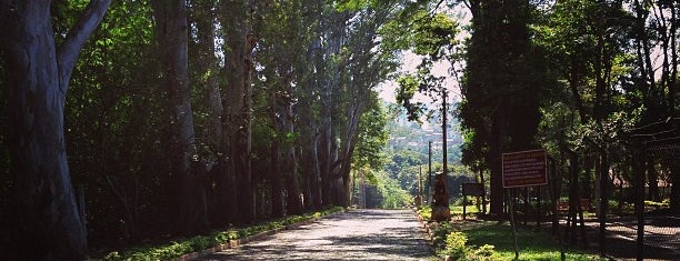 Parque Arthur Thomas is one of Have to go Londrina.