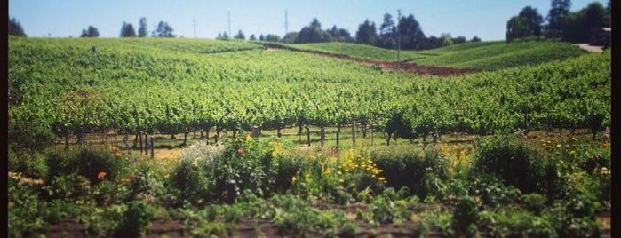 Lynmar Estate Winery is one of Lugares favoritos de Joanna.