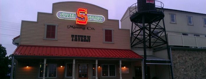 Silver Spring Mining Co is one of Great Central Baltimore County Bars.