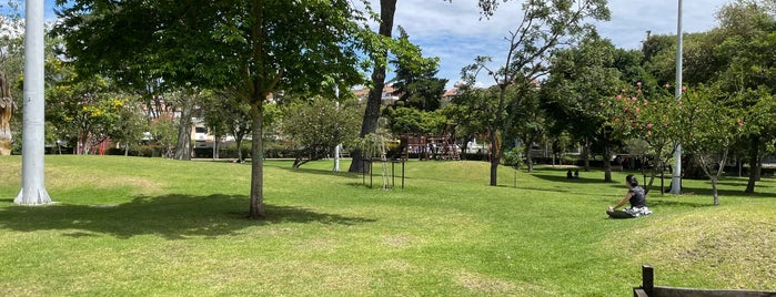 Parque de La Madre is one of Must See/Eat Spots In Cuenca.