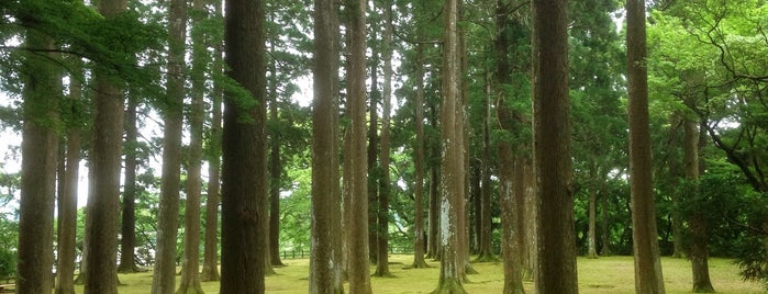 飫肥城址 is one of 100 "MUST-GO" castles of Japan 日本100名城.