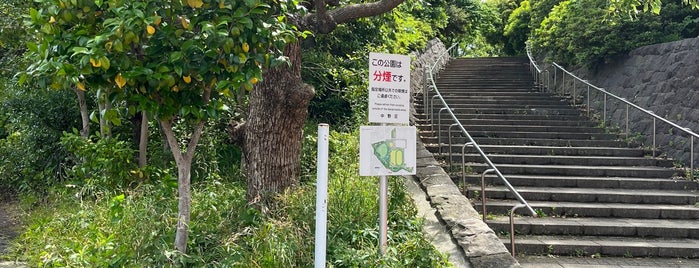 Heiwa no Mori Park is one of ポケモンの巣.