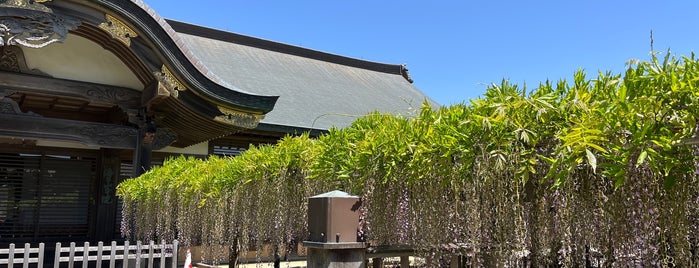 妙福寺 is one of 寺院・神社.