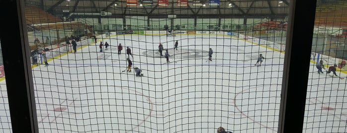 Messa Rink at Achilles Center is one of ECAC Hockey Rinks.