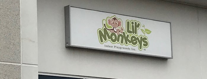 Lil' Monkeys Indoor Playgrounds Inc is one of Family Fun in Halton Region.