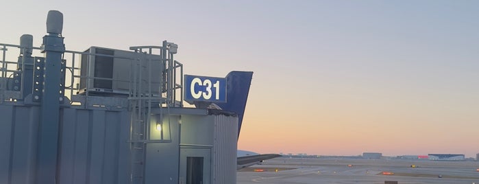 Gate C29 is one of martín’s Liked Places.
