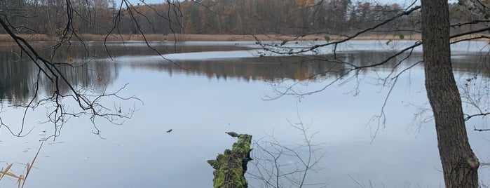 Am Däbersee is one of Schön hier!.