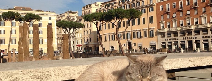 Largo di Torre Argentina is one of Rome for friends.