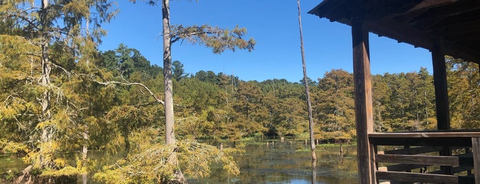 Noxubee National Wildlife Refuge is one of Stephenさんのお気に入りスポット.
