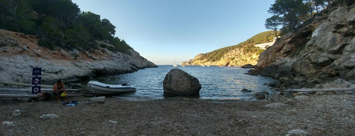 Cala des Moltons is one of Ibiza.