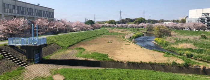 柳瀬川ふれあい橋 is one of 埼玉県_新座市.