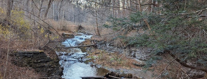 Buttermilk Falls State Park is one of Vinceさんのお気に入りスポット.