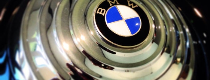 BMW Meeusen is one of Carya Group.