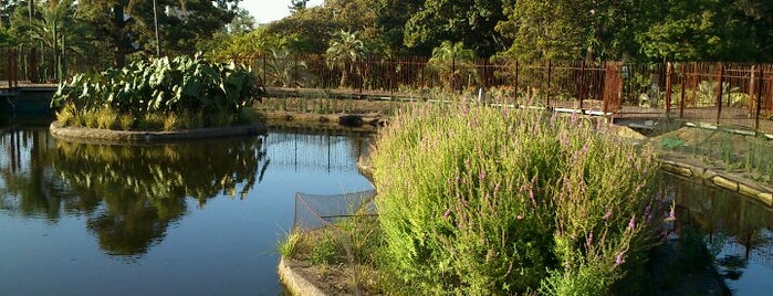 Royal Botanic Gardens is one of CBD Places Of Interest.